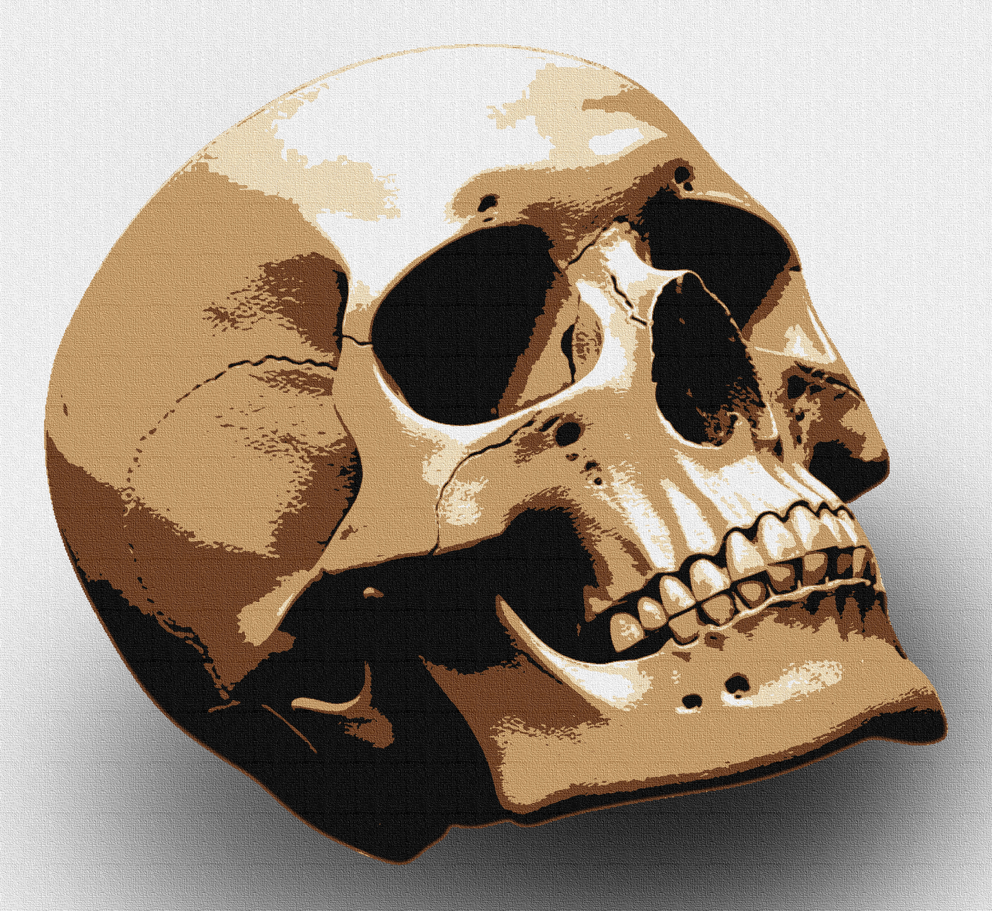 SKULL multi 5 layers stencil design PRE-CUT - ARTENDIST