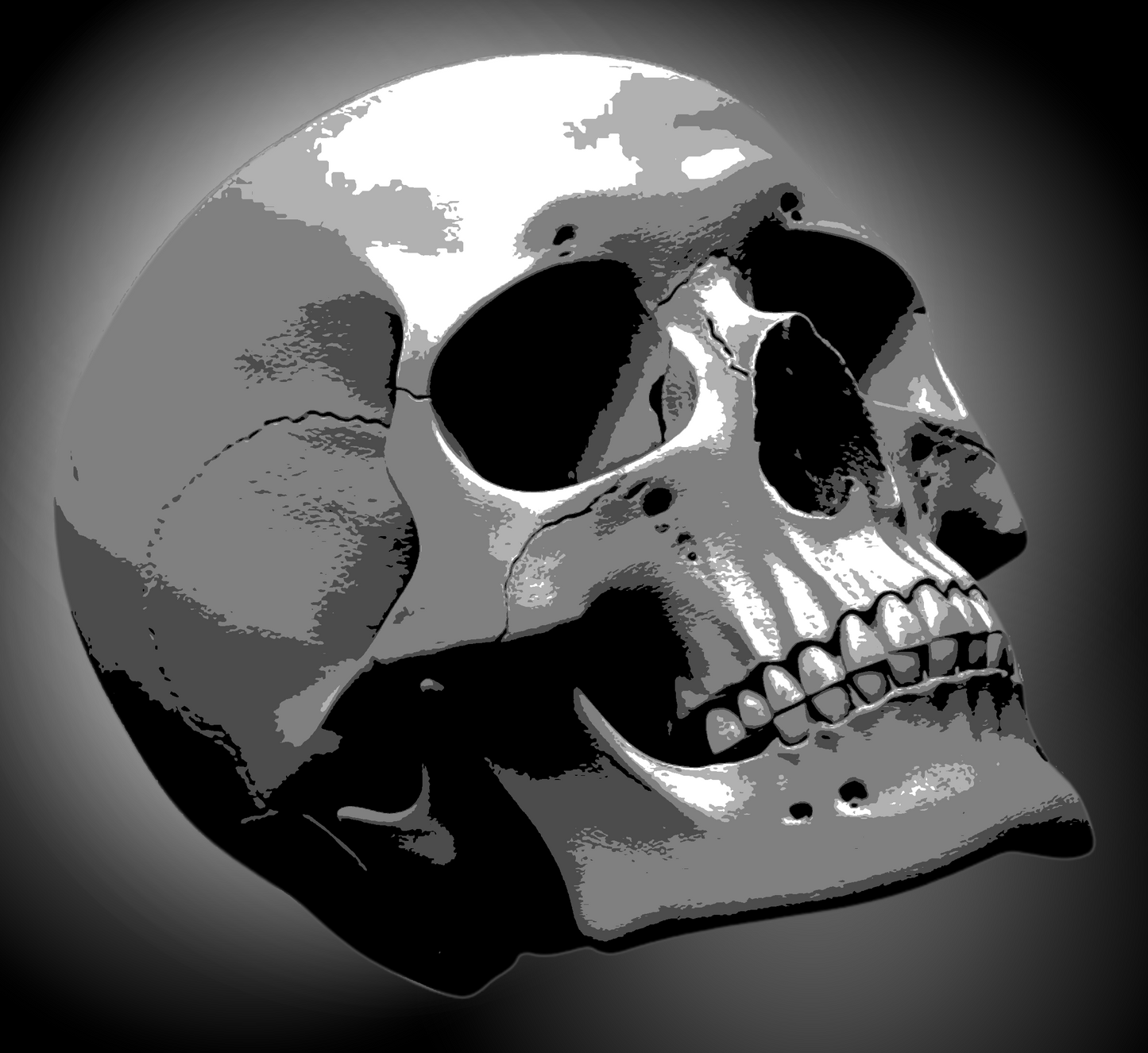 SKULL multi 5 layers stencil design PRE-CUT - ARTENDIST
