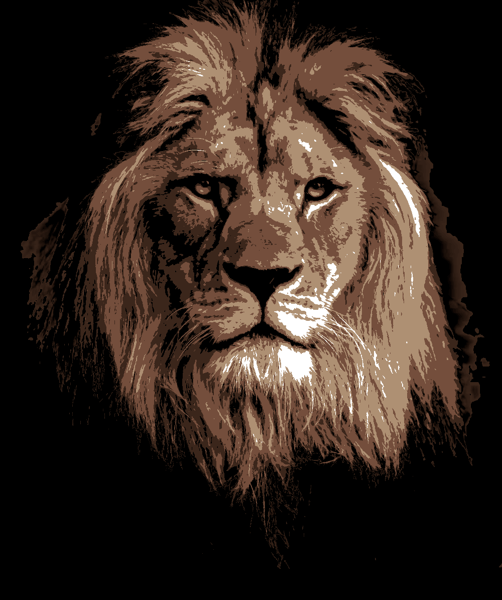 LION animal multi 5 layers stencil design PRE-CUT - ARTENDIST