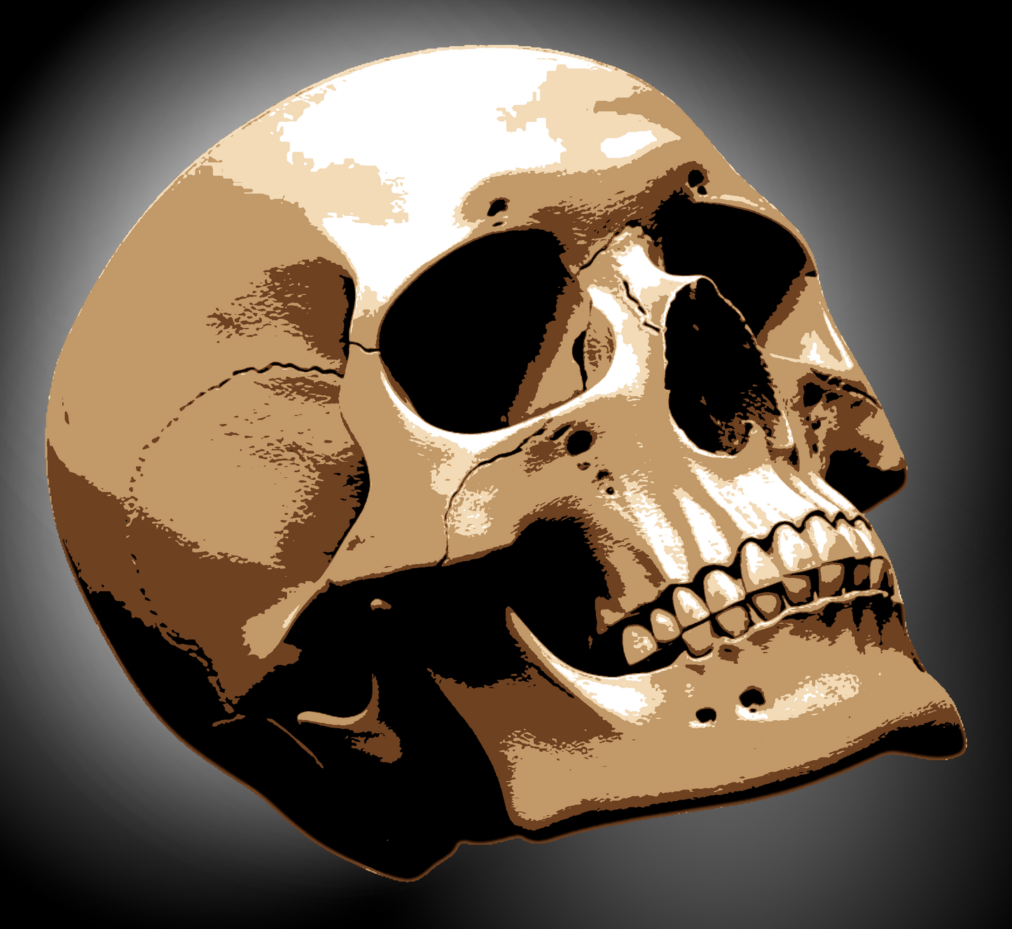 SKULL multi 5 layers stencil design PRE-CUT - ARTENDIST