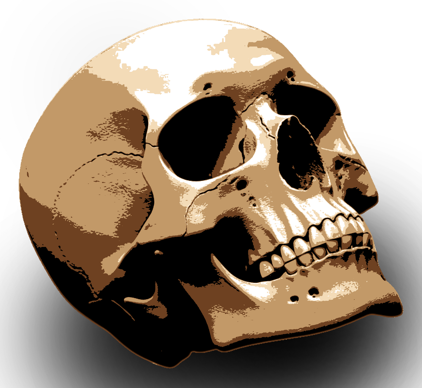 SKULL multi 5 layers stencil design PRE-CUT - ARTENDIST