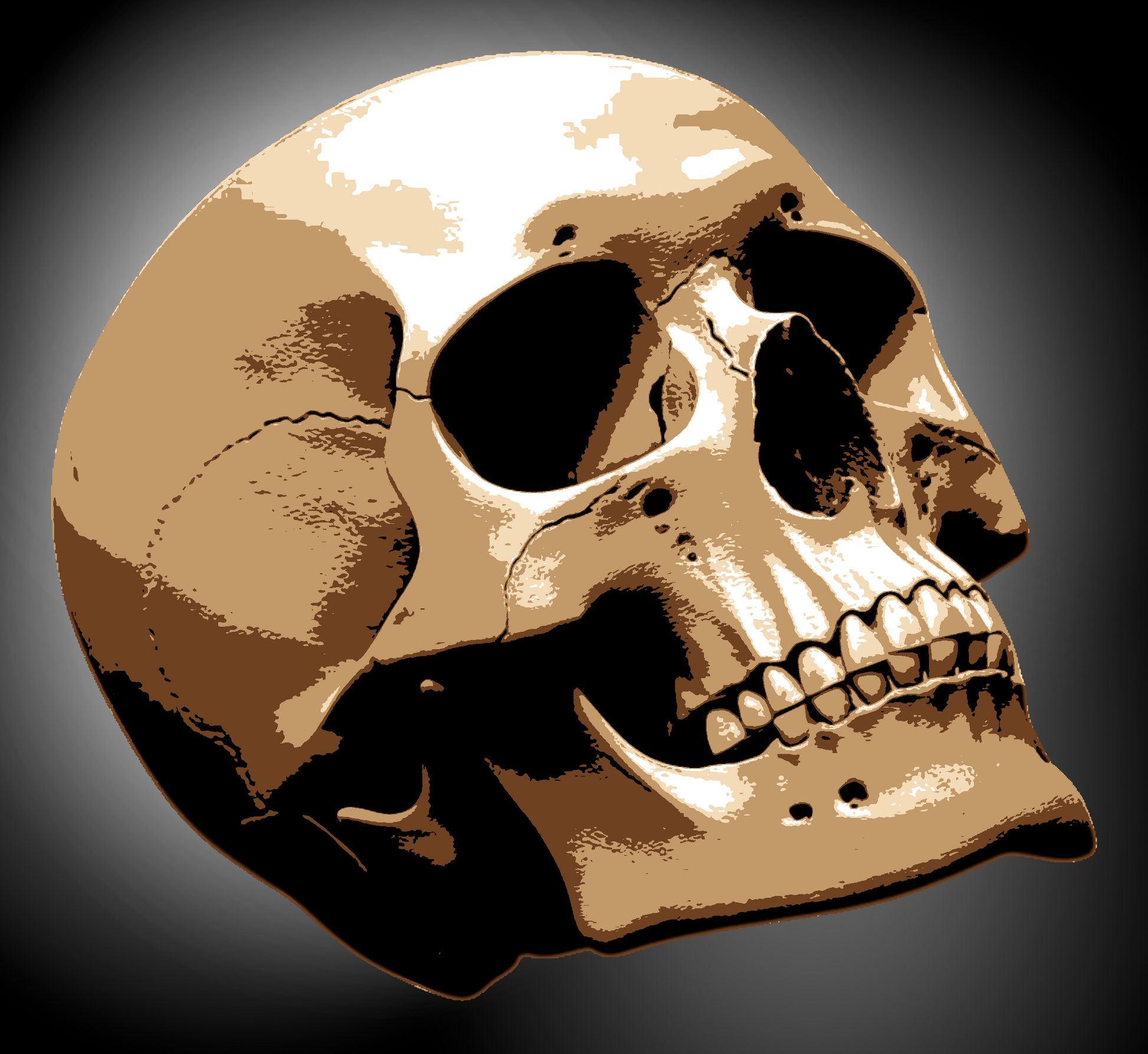 SKULL multi 5 layers stencil design PRE-CUT - ARTENDIST